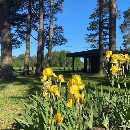 Villa Maennituka Suvetuba Kirikukula  外观 照片