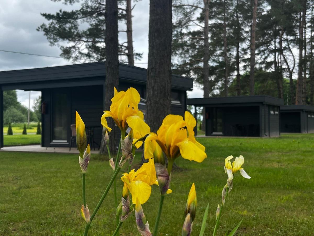 Villa Maennituka Suvetuba Kirikukula  外观 照片